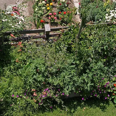 Ferienhaus Reinhilde 